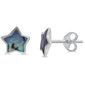 <span>CLOSEOUT!</span> Abalone Star Stud .925 Sterling Silver Earring