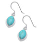 <span>CLOSEOUT!</span> Turquoise Dangle Style Earrings
