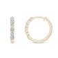 .10ct G SI 10K Yellow Gold Diamond Round & Princess Shaped Hoop Earrings